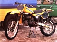 1981