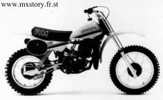 1981 80